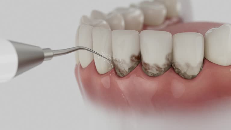 Reliable Dental contractor in Forrest, IL by Dentist Open Now